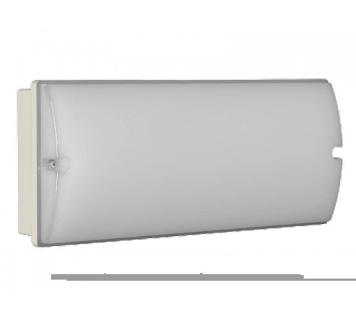 Светильник Световой указатель аварийного освещения BS-METEORIT-541-20x0,3 LED IP66