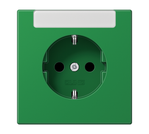 SCHUKO®-розетка 16 A / 250 B ~с дополнительной защитой и полем для надписи  LS1520INAGN  Jung