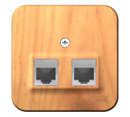 Blanca Ясень О/У с изолирующей пластиной Ясень Розетка 2-ая компьютерная RJ45, кат.5E  BLNIA045455  SE