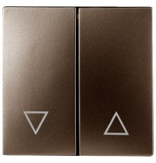 12-6203-13 Клавиши для 12-1109, 12-1110, 14-1109, 14-1110, бронза   Б0047857  ЭРА