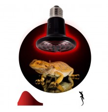 Инфракрасная лампа 100Вт Е27 FITO-100W-НQ керамическая серии CeramiHeat модель RX для брудера, рептилий  Б0052715  ЭРА