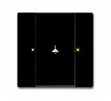 6125/98-509 Сенсор 2-клавишный, Zenit  6125/98-509  2CKA006115A0444  ABB