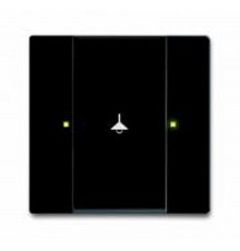 6125/98-509 Сенсор 2-клавишный, Zenit  6125/98-509  2CKA006115A0444  ABB