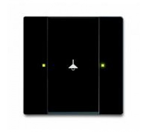 6125/98-509 Сенсор 2-клавишный, Zenit  6125/98-509  2CKA006115A0444  ABB