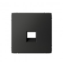 ArtGallery Базальт Накладка информационная типа Keystone  GAL001484  SE