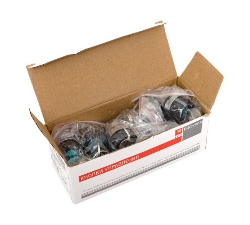 Исполнительный механизм переключателя ХB4 на 2 положения с замком, возвратный без фиксации EKF PROxima    XB4BG2   EKF 