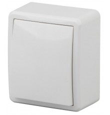 Выключатель 10АХ-250В, 11-1201-01, ОУ, Эксперт, Белый Б0020653  ЭРА