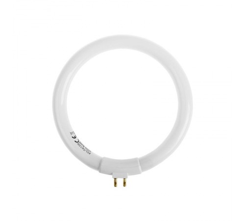Лампа кольцевая люминесцентная, 12 Вт  31-0808  REXANT