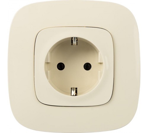 Valena ALLURE DIY Сл.кость Розетка 1-ая с/з, безвинт.зажим  753821  Legrand