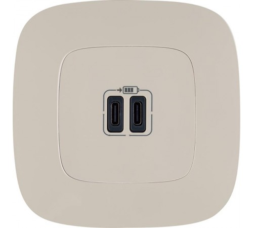 Valena ALLURE Сл. кость Зарядное устройство с 2-мя USB-разьемами тип С-тип С 240В/5В 3000мА С лицевой панелью  755346  Legrand
