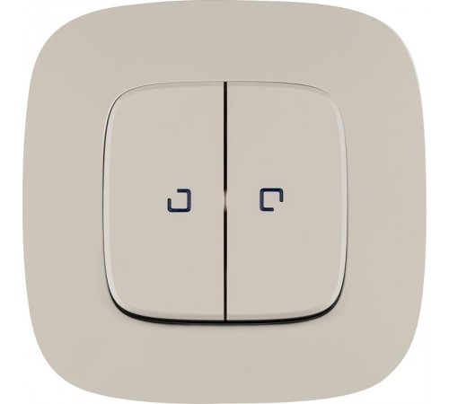 Valena ALLURE DIY Сл.кость Переключатель 2-клавишный с подсветкой 10А 250В  752809  Legrand