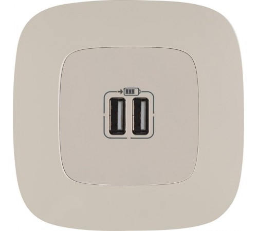 Valena ALLURE Сл.кость Розетка 2-ая USB 240В/5В 1500мА (с лицевой панелью)  754996  Legrand