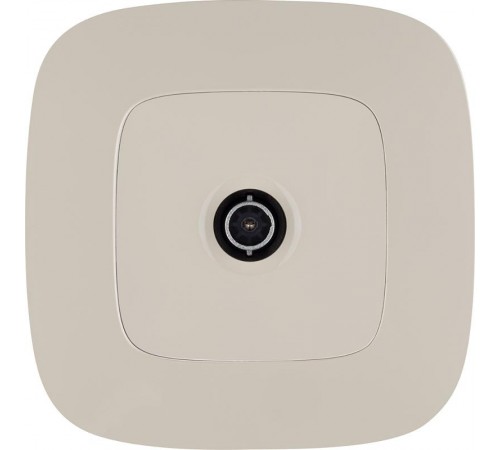 Valena ALLURE DIY Сл.кость Розетка TV "звезда" 0-2400 Мгц  753851  Legrand