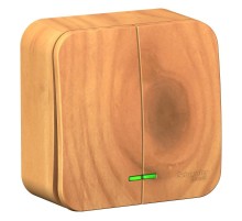 Blanca Ясень О/У Выключатель 2-клавишный с подсветкой, 10А, 250B  BLNVA105105  SE