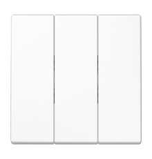 Тройная клавиша для балансирных механизмов выключателей (кнопок); термопласт; белый; LS990  LS993BFWW  Jung