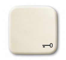 Клавиша для механизма 1-кл.выкл./перекл./кнопки с символом "КЛЮЧ", серия Busch-Duro 2000 SI, цвет слоновая кость  1731-0-0298   2CKA001731A0298  AB