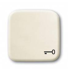 Клавиша для механизма 1-кл.выкл./перекл./кнопки с символом "КЛЮЧ", серия Busch-Duro 2000 SI, цвет слоновая кость  1731-0-0298   2CKA001731A0298  AB