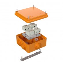 Коробка огнестойкая для о/п 40-0300-FR1.5-8 Е15-Е120 100х100х50 IP55  8p, 1.5 мм.кв. 40-0300-FR1.5-8  Промрукав