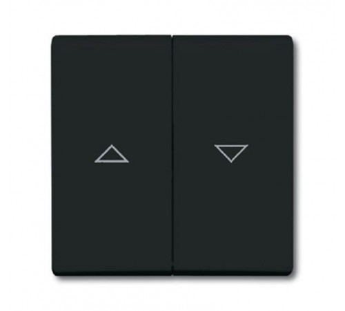 Клавиша для механизма выкл. жалюзи 2000/4 US и 2020/4 US, с маркировкой, IP44, серия Allwetter 44, цвет антрацит  1731-0-1726   2CKA001731A1726  AB