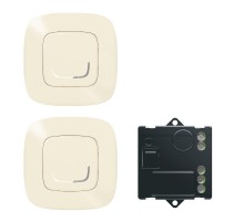 Пакет для управления освещением с 2-х мест Valena Allure (микромодуль реле 300Вт 240В+2 Умн.беспроводн. 1-кл.выкл.)сл.кость Netatmo  752650  Legrand