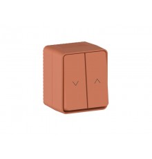 AtlasDesign Profi54 Терракотовый Выключатель 2-клавишный для жалюзи, 2хсх.4  ATN547019  SE