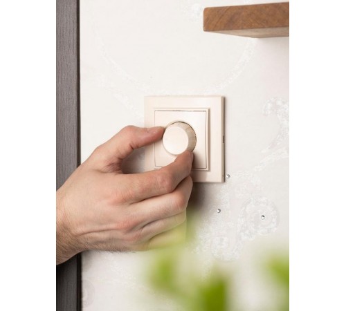 Светорегулятор СП 600W 220В бежевый Минск EKFERD06-101-20EKF