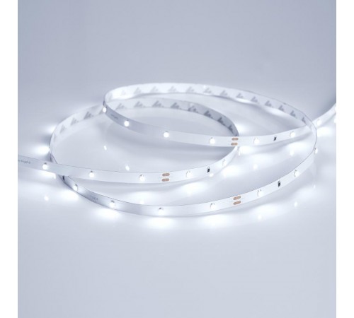 Лента светодиодная RT 2-5000 24V Cool 8K 0.5x (3528, 150 LED, LUX) (arlight, 2.9 Вт/м, IP20)  019916(1)  Arlight