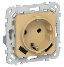 FLITE Розетка с заземлением со шторками 16А с USB A+A 3,1А быстрозажимные клеммы РСЮша11-1-ФлШм шамуа  FI-R14-16-1-U21-D31-K89  IEK