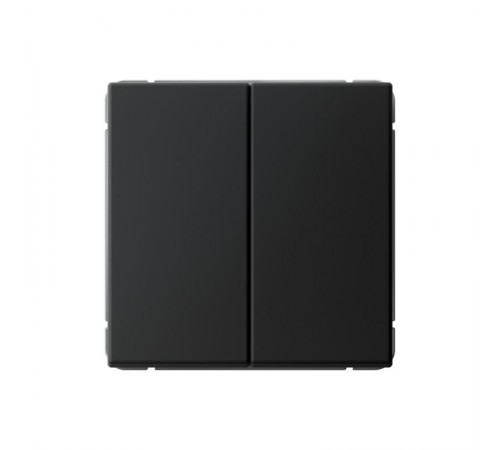 ArtGallery Карбон Выключатель 2-клавишный КНОПОЧНЫЙ, 10АХ, механизм, быстрозажим. клем.  GAL001017S  SE