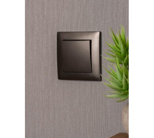 Валенсия Рамка 1-местная графит EKF   EWM-G-301-60   EKF