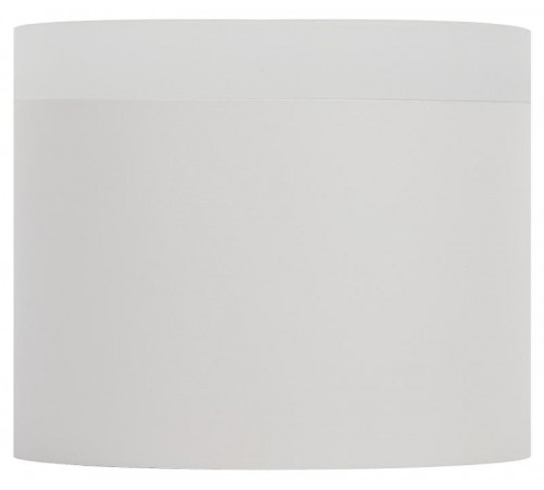 Светильник накладной подсветка OL17 GX53 WH , под GX53 (40/960)  Б0049044  ЭРА