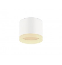 Светильник накладной подсветка OL17 GX53 WH , под GX53 (40/960)  Б0049044  ЭРА