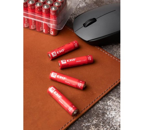 Батарейка алкалиновая типа ААА(LR03) пластиковый бокс 24шт.  LR03-BOX24  EKF