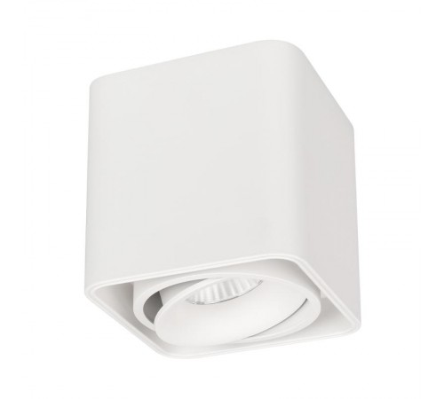 Светильник SP-CUBUS-S100x100-8W Day4000 (WH, 45 deg, 230V) (Arlight, IP20 Металл, 3 года)  036048  Arlight