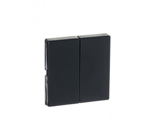 Клавиша для механизма 2-клавишных выключателей/переключателей/кнопок, серия solo/future, цвет антрацит  1751-0-2930   2CKA001751A2930  ABB