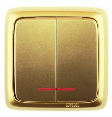 Выключатель открытой установки, двухклавишный, с индикацией, с монтажной пластиной, цвет золото  ВА10-156-07  HEGEL
