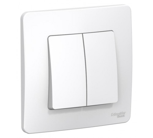 Blanca Белый С/У Выключатель 2-клавишный, 6А, 250В  BLNVS006501  SE