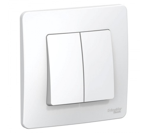 Blanca Белый С/У Выключатель 2-клавишный, 6А, 250В  BLNVS006501  SE