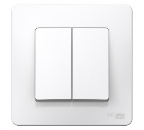 Blanca Белый С/У Выключатель 2-клавишный, 6А, 250В  BLNVS006501  SE
