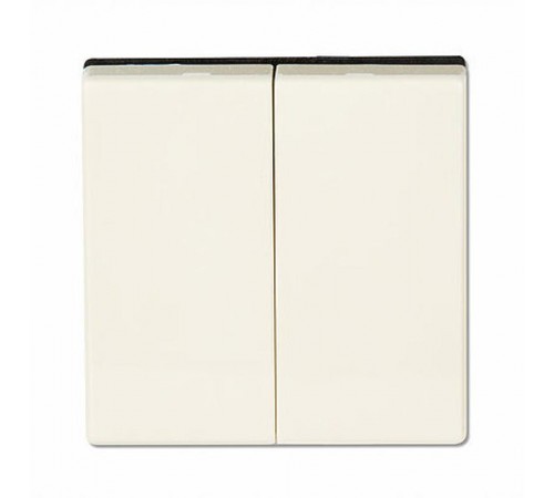 Клавиша для двойного выключателя; слоновая кость  EP495  Jung