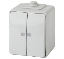 Выключатель 2-клавишный с подсветкой IP65, 10АХ-250В, ОУ, 11-1605-03 Эра Эксперт, Серый  Б0035977  ЭРА