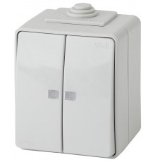 Выключатель 2-клавишный с подсветкой IP65, 10АХ-250В, ОУ, 11-1605-03 Эра Эксперт, Серый  Б0035977  ЭРА