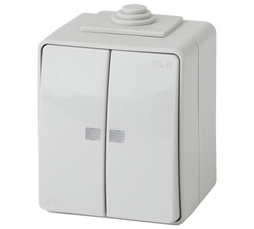 Выключатель 2-клавишный с подсветкой IP65, 10АХ-250В, ОУ, 11-1605-03 Эра Эксперт, Серый  Б0035977  ЭРА