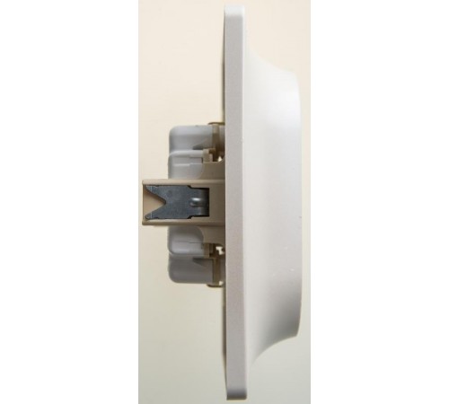 Glossa Перламутр Розетка 2-ая с заземлением , 16А (в сборе)  GSL000624  SE