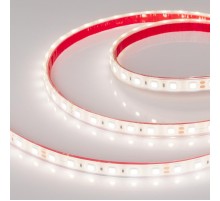 Светодиодная лента герметичная RTW-PFS-B60-13mm 24V Day5000 (14.4 W/m, IP68, 5060, 5m) (Arlight, 14.4 Вт/м, IP68)  036462  Arlight