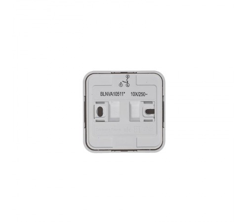 Blanca Белый О/У с изолирующей пластиной Выключатель 2-клавишный с подсветкой 10А, 250B  BLNVA105111  SE