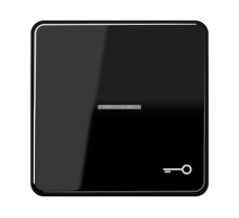 Клавиша с окошком и символом "ключ" для выключателей с подсветкой; черная  CD590KO5TSW  Jung