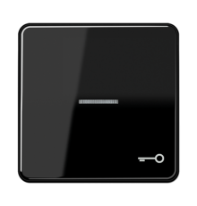 Клавиша с окошком и символом "ключ" для выключателей с подсветкой; черная  CD590KO5TSW  Jung