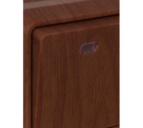 ОКТАВА дуб Выключатель 1-клавишный с индикацией О/У 10А ВС20-1-1-ОД  EVO11-K04-10-DC  GENERICA