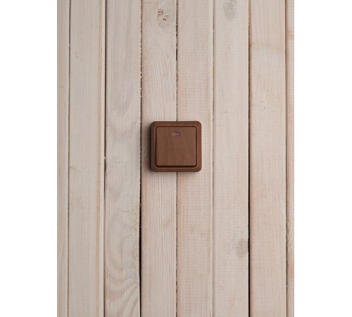 ОКТАВА дуб Выключатель 1-клавишный с индикацией О/У 10А ВС20-1-1-ОД  EVO11-K04-10-DC  GENERICA